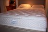 Sealy Latex Mattress Sealy Latex Mattress